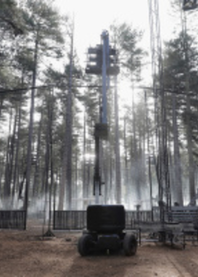 مجموعة In Bloom من Burberry