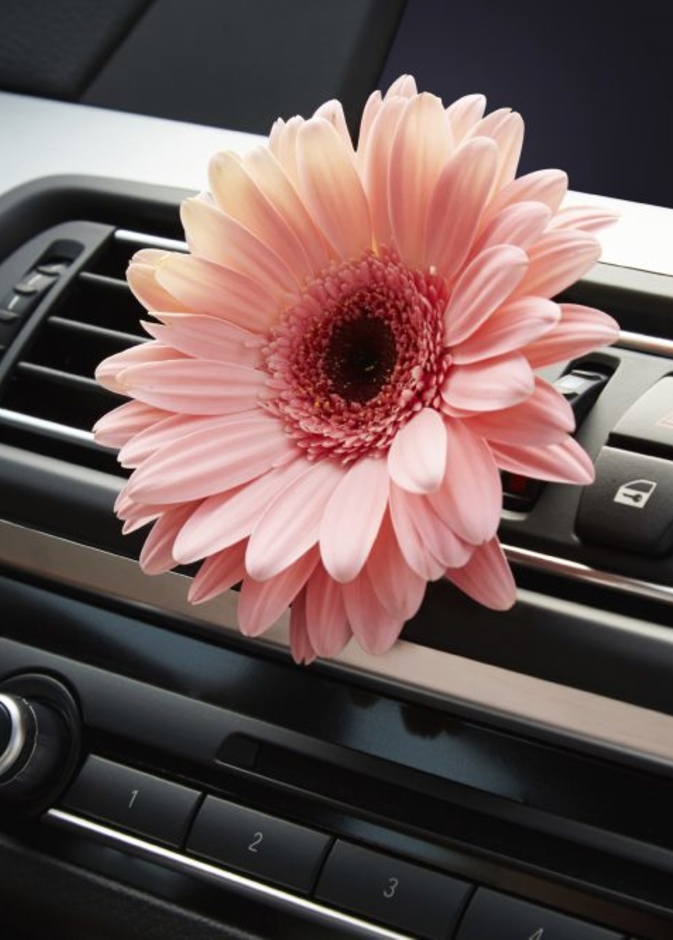 رائحة زكية في السيارة