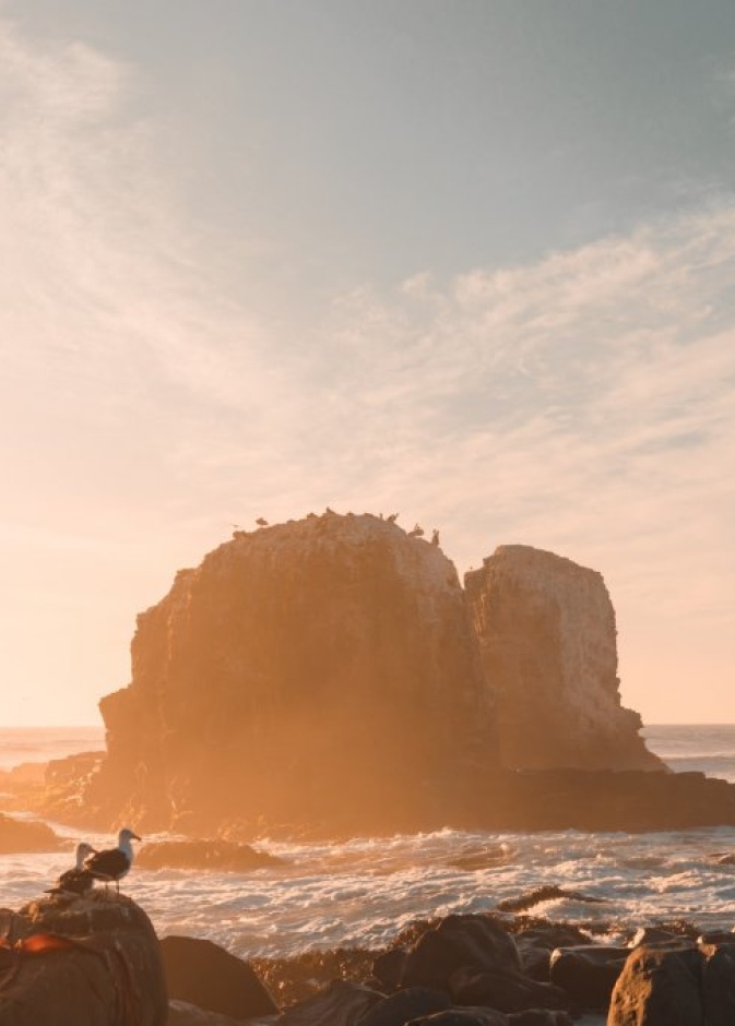  بيتشيليو من أفضل الوجهات الشاطئية في تشيلي - cristian castillo