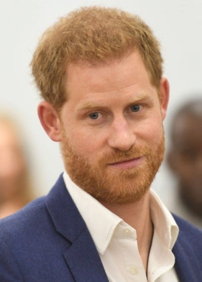 الأمير هاري