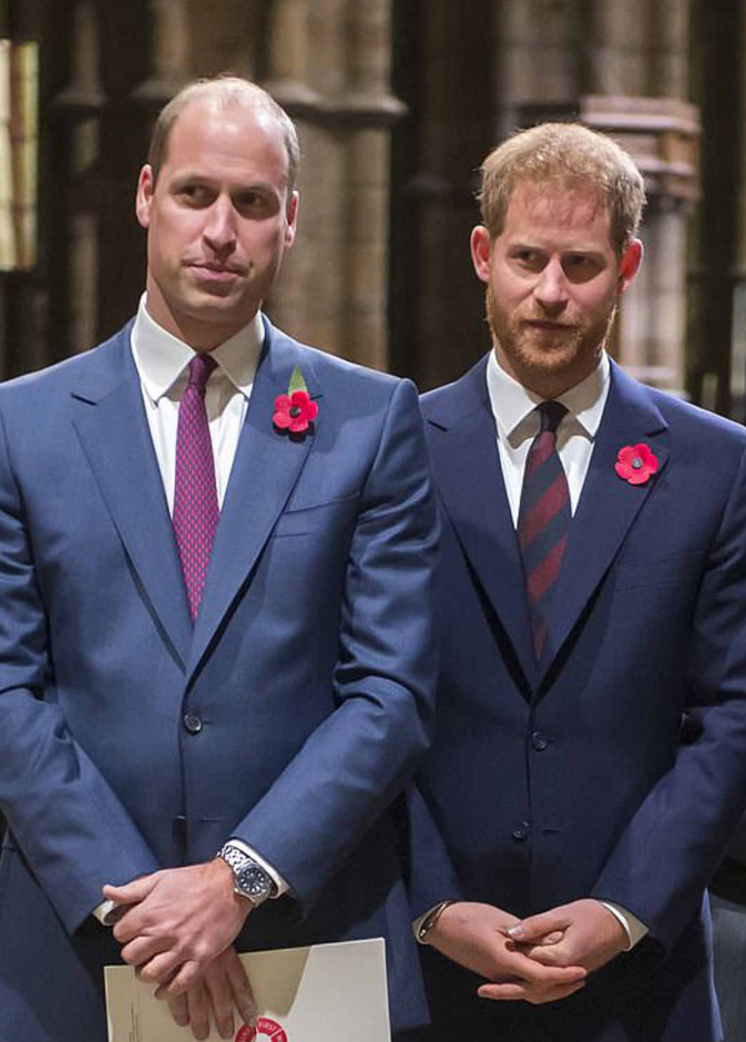 هل يحصل الأمير وليام على المناصب العسكرية التي كان يشغلها شقيقه الأمير هاري