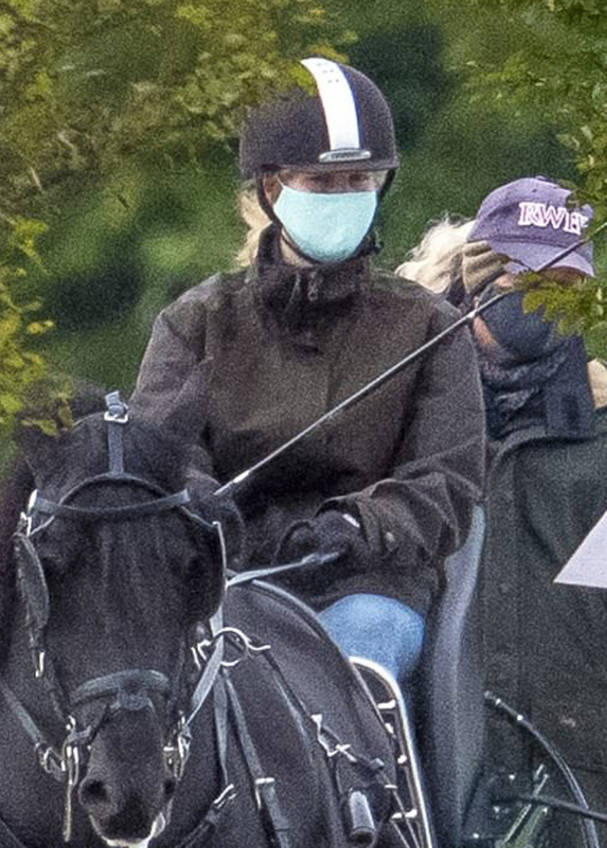 ليدي لويز وندسور أثناء تدربها على قياد العربات التي تجرها الخيول