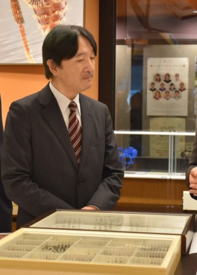 اليابان تستعد لإقامة مراسم تنصيب ولي العهد في نوفمبر القادم