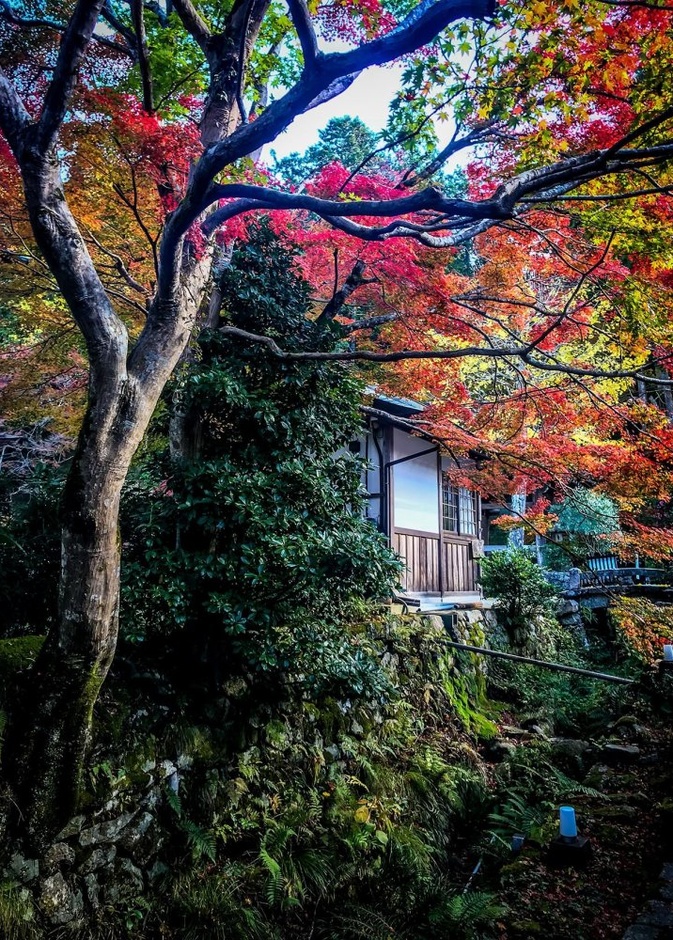 أجمل مدن الخريف