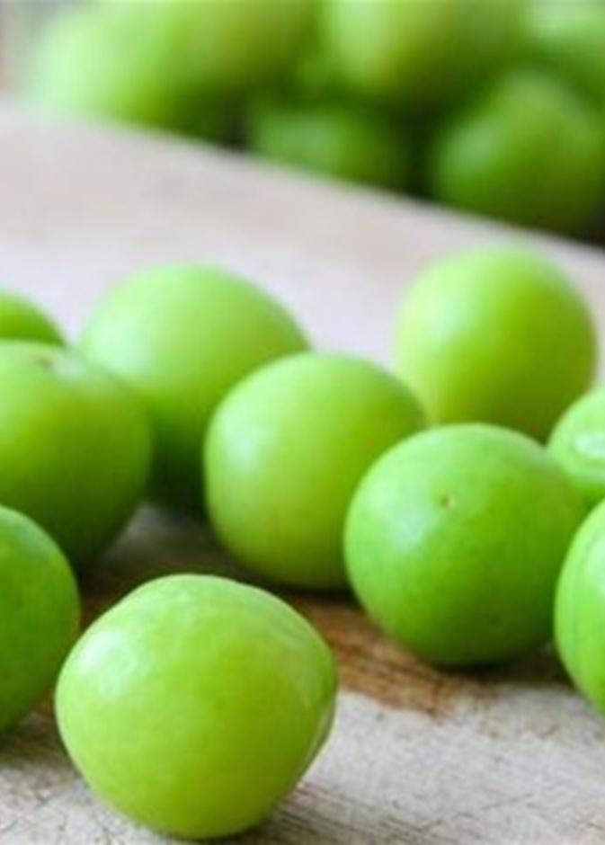 ماهي فوائد الجانريك لمرضى السكري