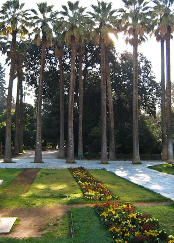 الحديقة الوطنية National Garden
