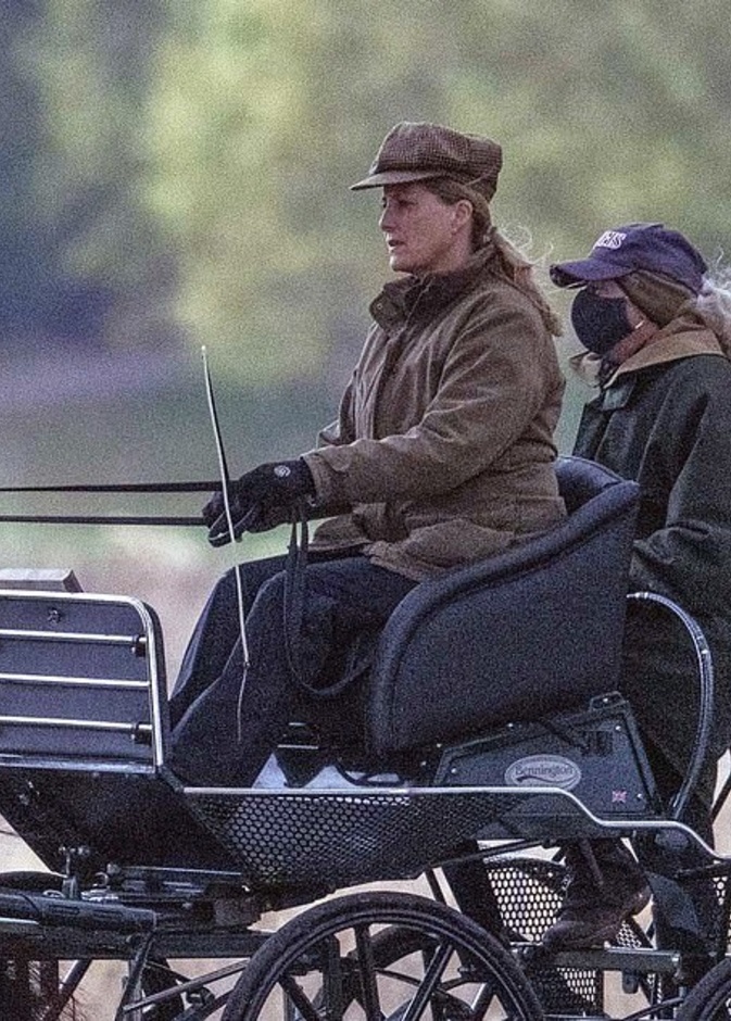 كونتيسة وسكس تقود عربة تجرها الخيول