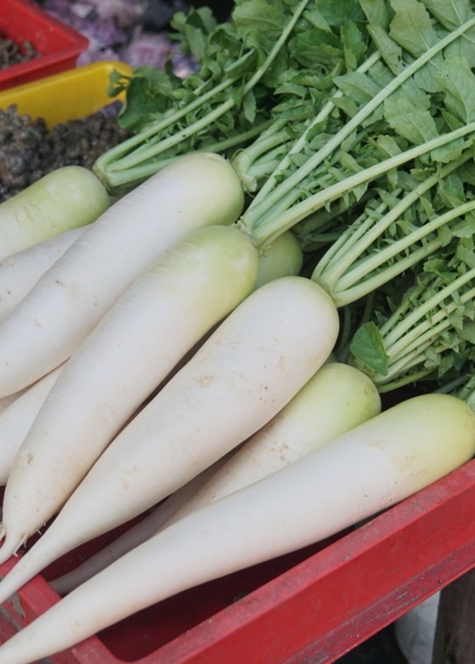 فوائد الجزر الابيض الصحية