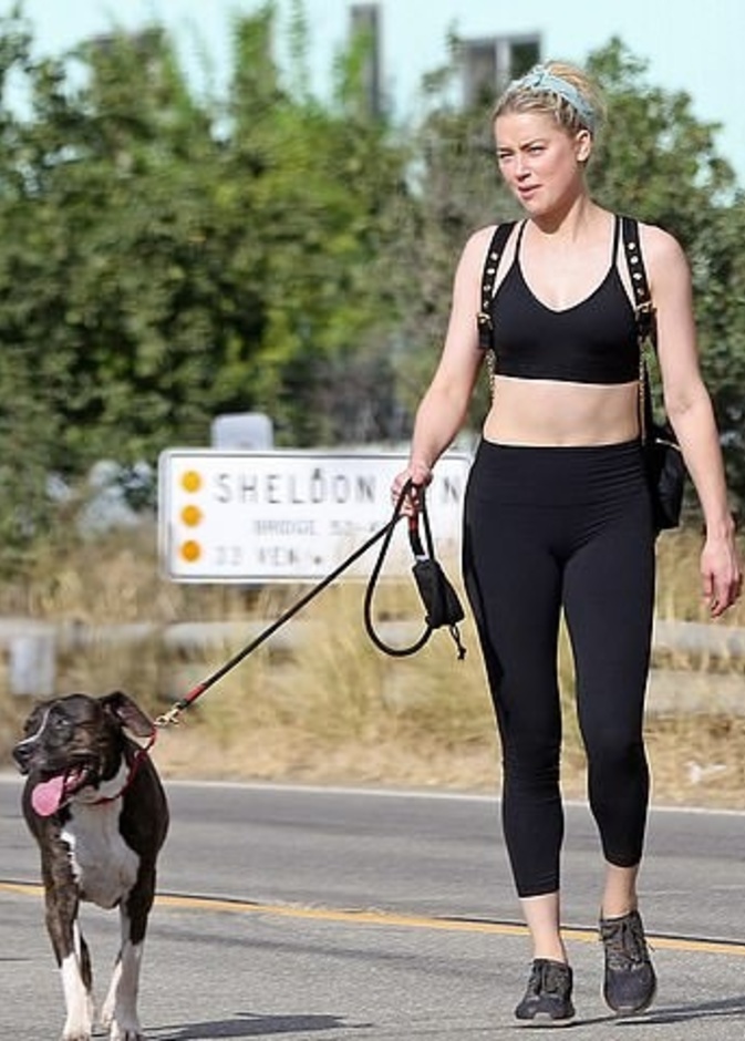 آمبر هيرد تستمتع بنزهة في لوس أنجلوس