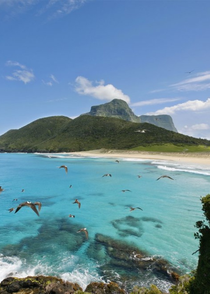 شاطئ بلينكي Blinky Beach، نيو ساوث ويلز