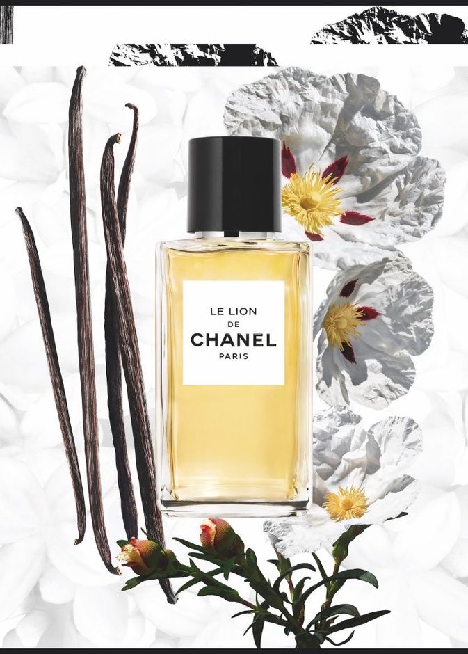 عطر Le Lion De Chanel بنفحات شرقية 