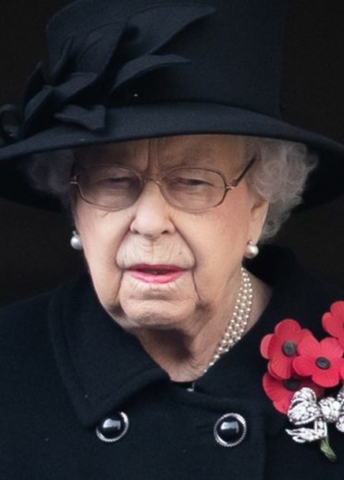 ما سر زهور الخشاش التي تضعها الملكة إليزابيث الثانية على ملابسها في أحد الذكرى؟