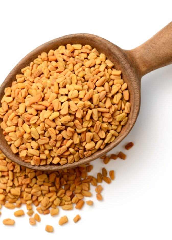 فوائد الحلبة على الريق لمرضى السكري