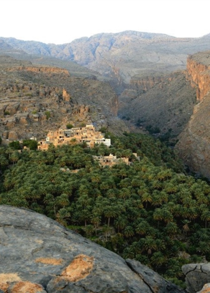 والمساحات الخضراء تعطي المزيد من السحر للمحمية