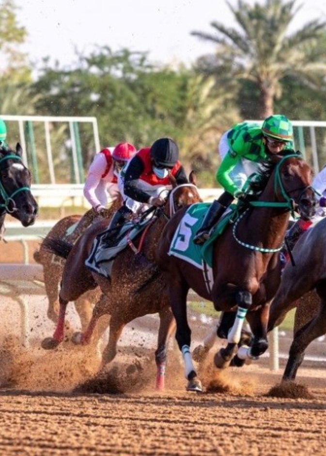  ضوابط أول مهرة لمالكة سعودية تفوز بسباقات الخيل في ميدان الملك عبدالعزيز للفروسية