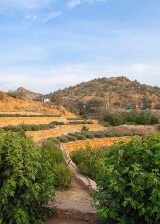 الطبيعة الخلابة تعانق السحاب في منتزه الشفا البري "الصورة من وكالة الأنباء السعودية"