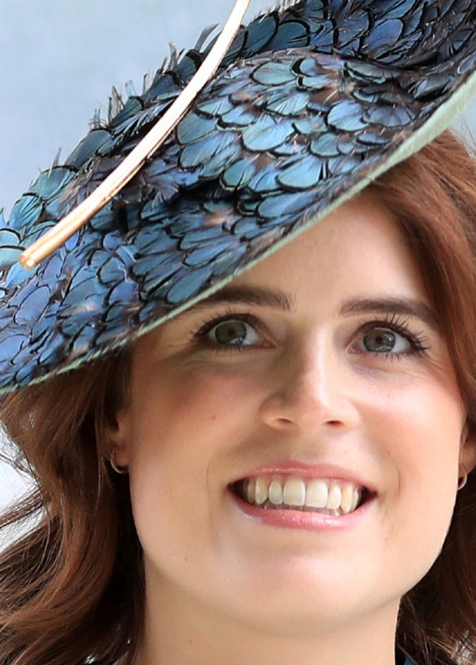 الأميرة يوجين ستحضر حفل أعياد الميلاد في مستشفيات رويال برومبتون