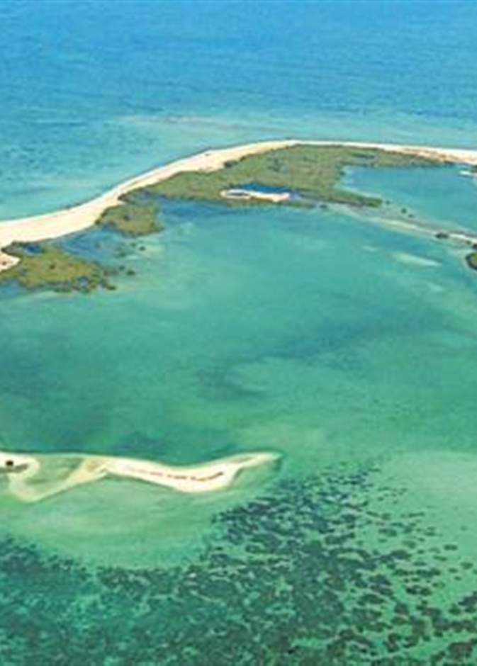 جزيرة مروح أحد أفضل الوجهات الطبيعية الإماراتية