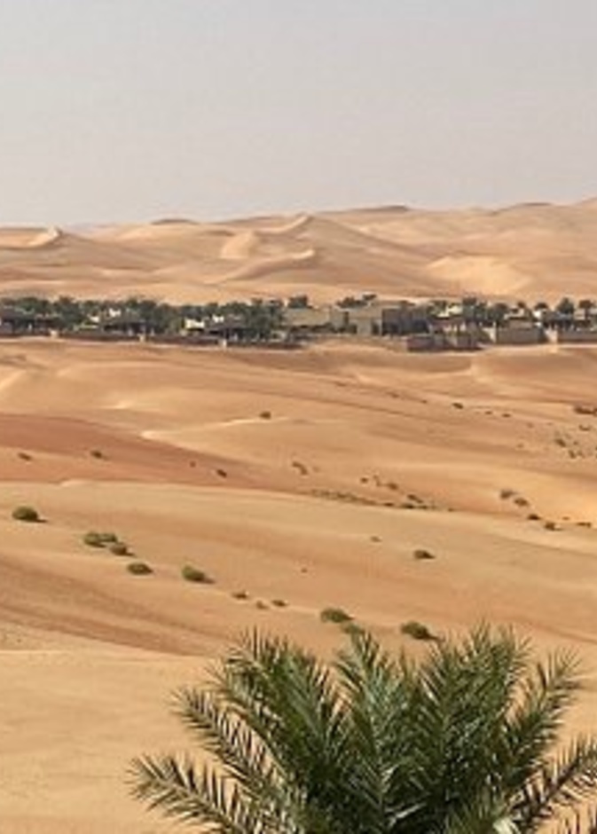 واحة ليوا الطبيعية وجهة ساحرة لعشاق الطبيعة