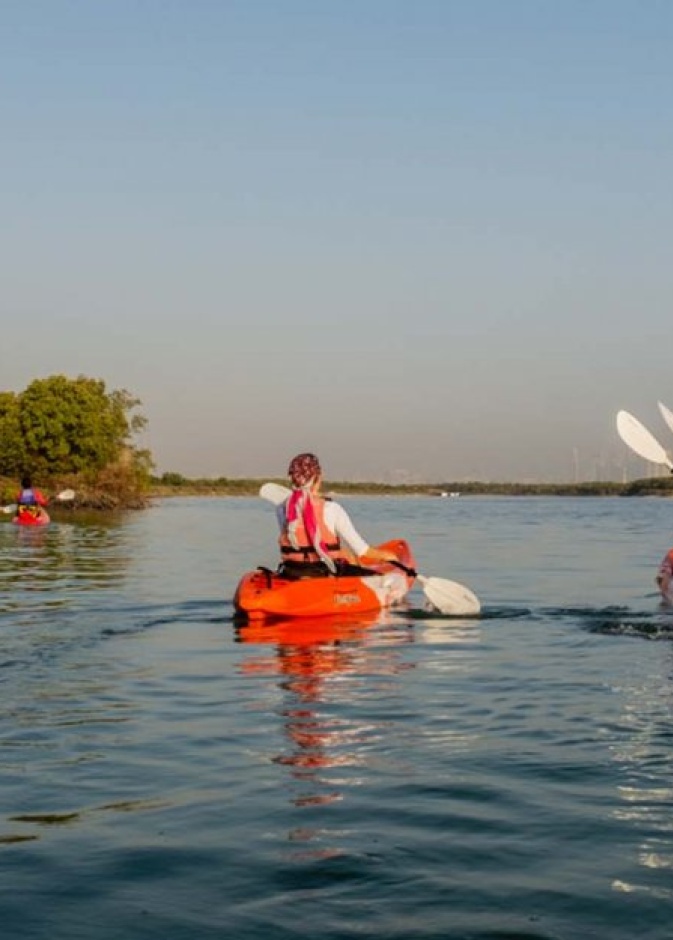  الكاياك في حديقة قرم الجبيل.. أنشطة سياحية خارجية في الإمارات