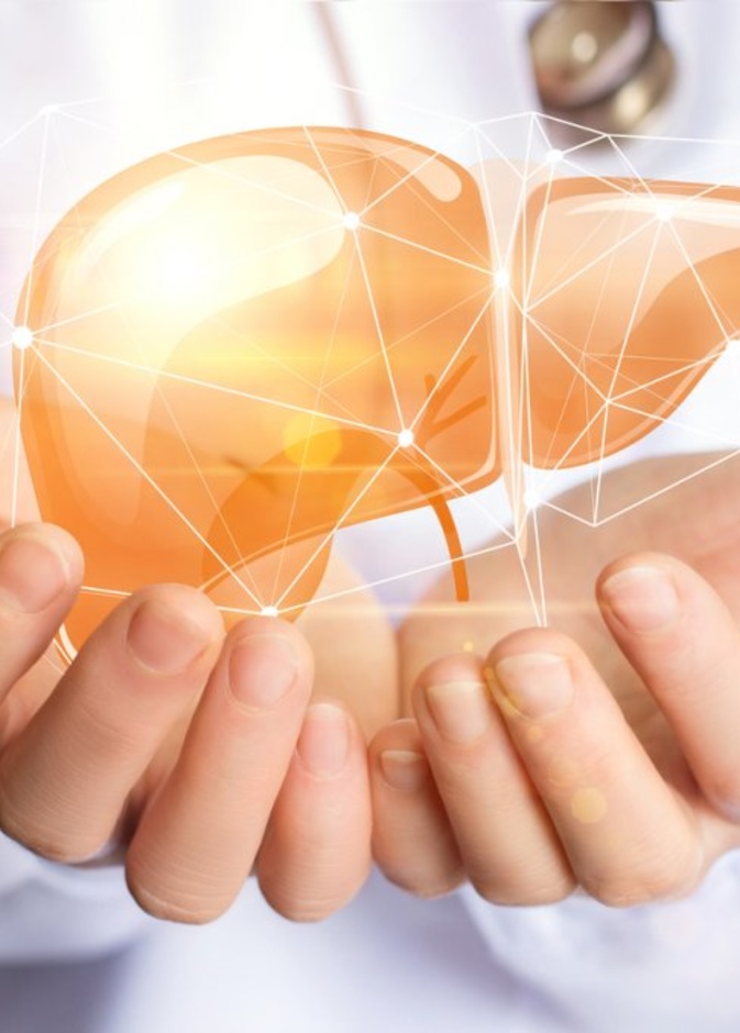 فوائد الهندباء للكبد وطريقة استخدامها