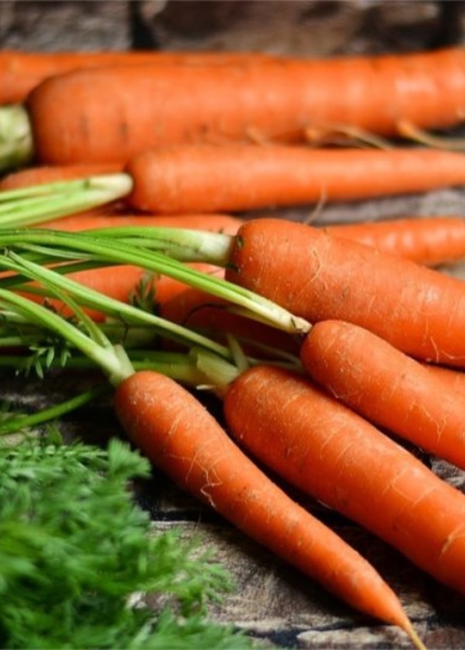  فوائد الجزر للشرايين وتأثيره على الدهون