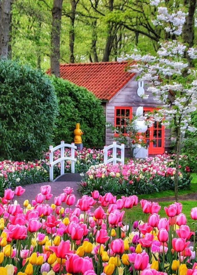 حديقة كوكن هوف Keukenhof Gardens