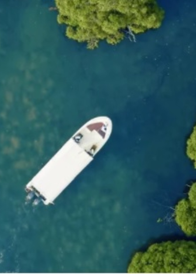 المساحات الخضراء تغطي جزر فرسان- المصدر روح السعودية