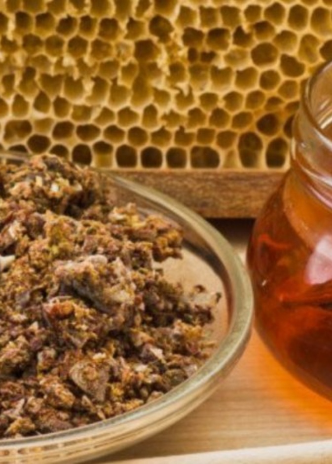  ماهو العكبر وماهي فوائده الصحية