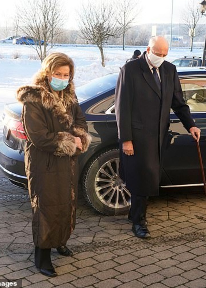 بالصور ملك النرويج يزور موقع الانهيار الأرضي بالقرب من أوسلو