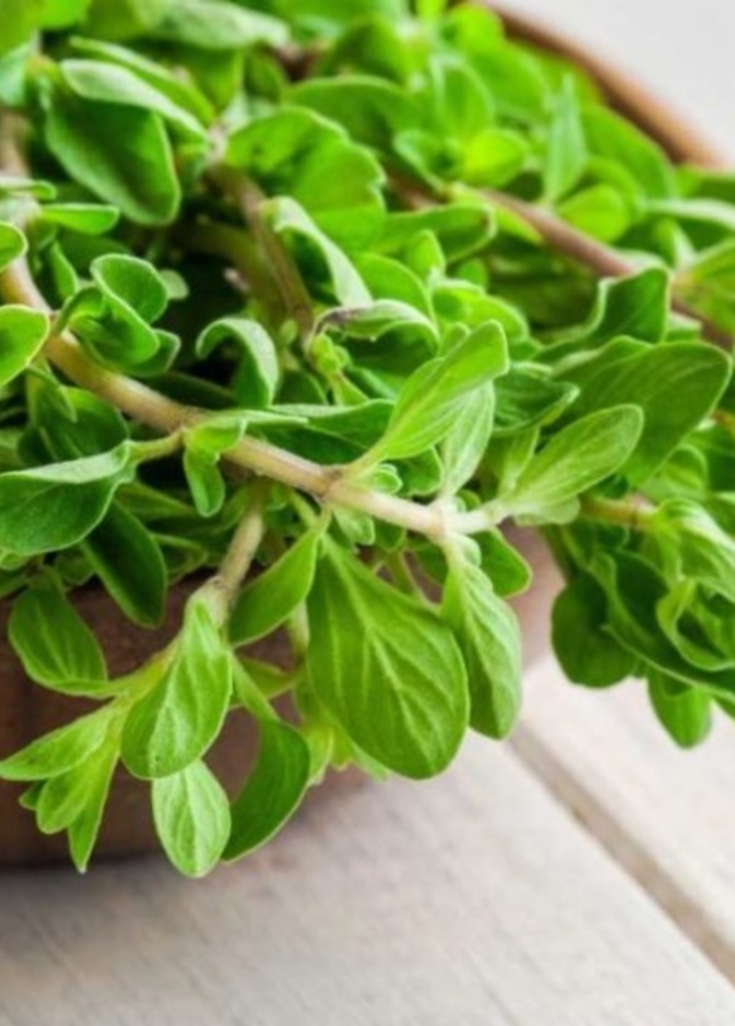 ماهي فوائد البردقوش للكلى