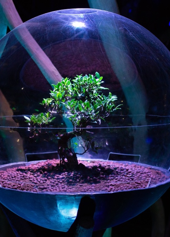  جناح تيرا في اكسبو 2020