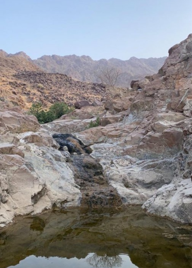 الكثير من المعادن المفيدة في عيون المياه بالفجيرة 