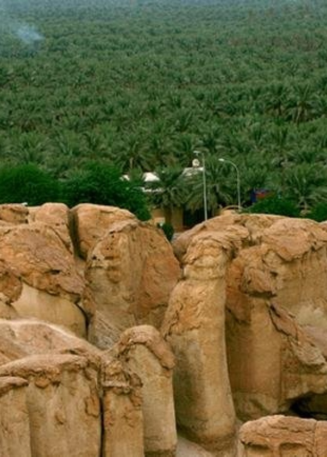 جبل القارة من أفضل الوجهات الطبيعية بالمملكة - المصدر "روح" السعودية