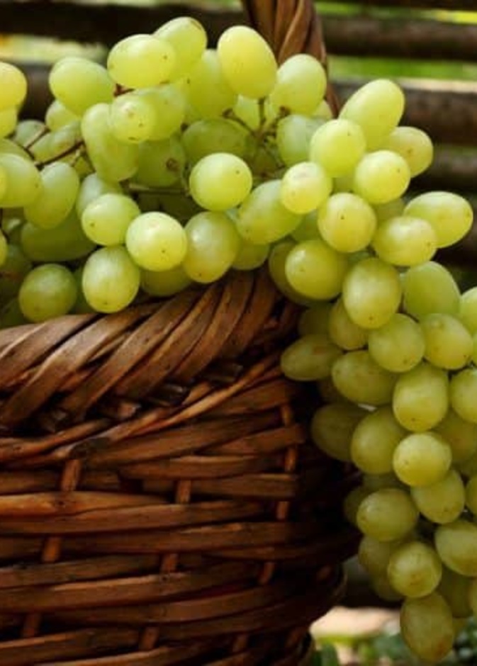 ماهي فوائد العنب الاخضر على الريق