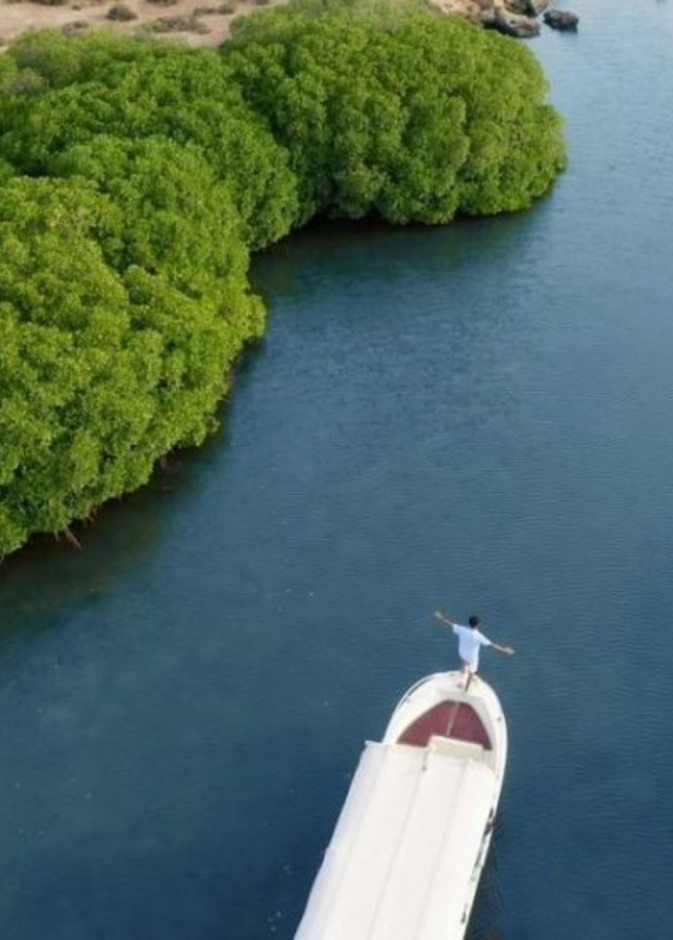 محمية جزر فرسان واحدة من الوجهات السياحية الجديدة - المصدر وكالة الأنباء السعودية