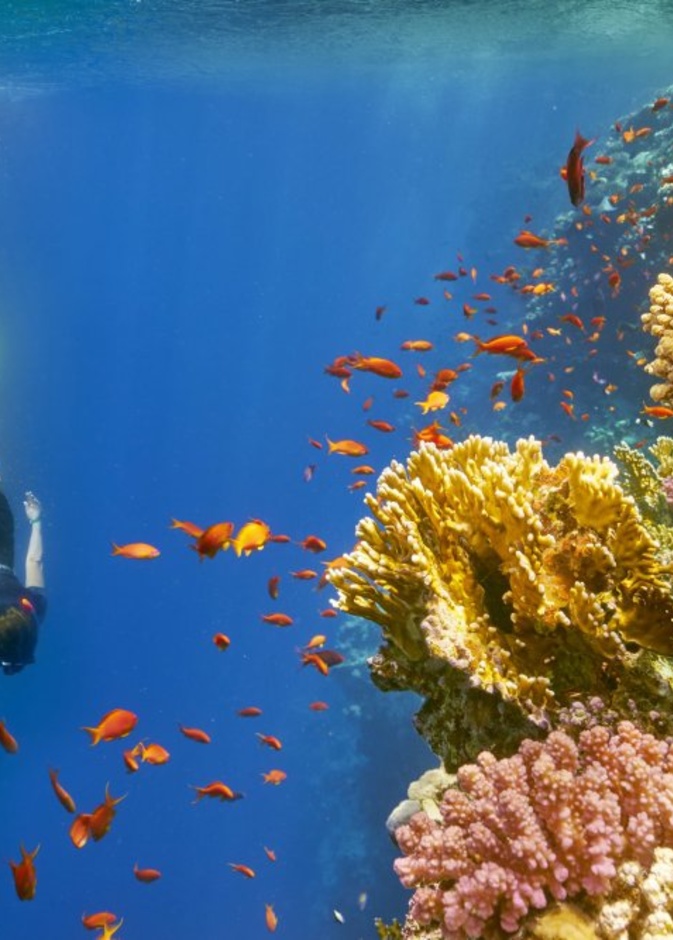  السياحة في دهب الثقب الأزرق Blue Hole