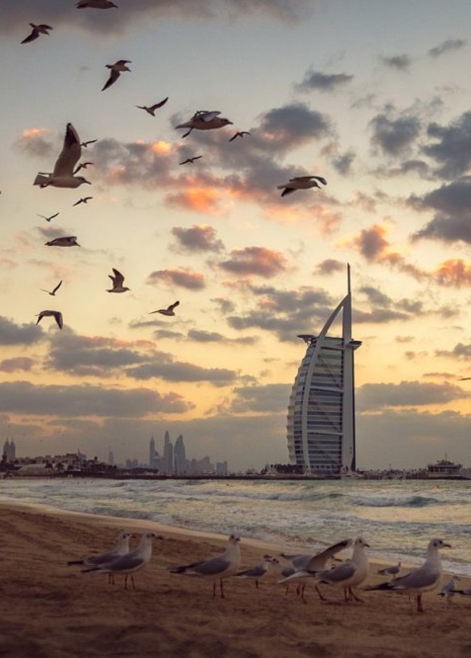 أجواء ساحرة في شاطئ الغروب دبي بواسطة Iarjunphotography