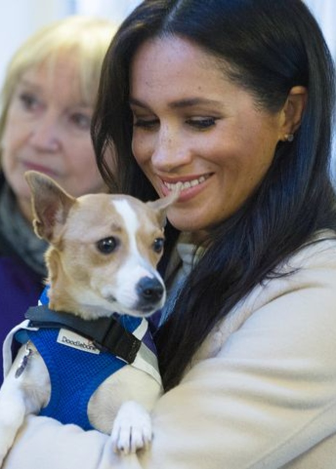 السر في كلبيها.. كيف تخطت ميغان ماركل تحديات العام الماضي؟