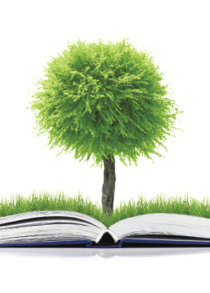 إطلاق مبادرة  المدارس الخضراء في رأس الخيمة