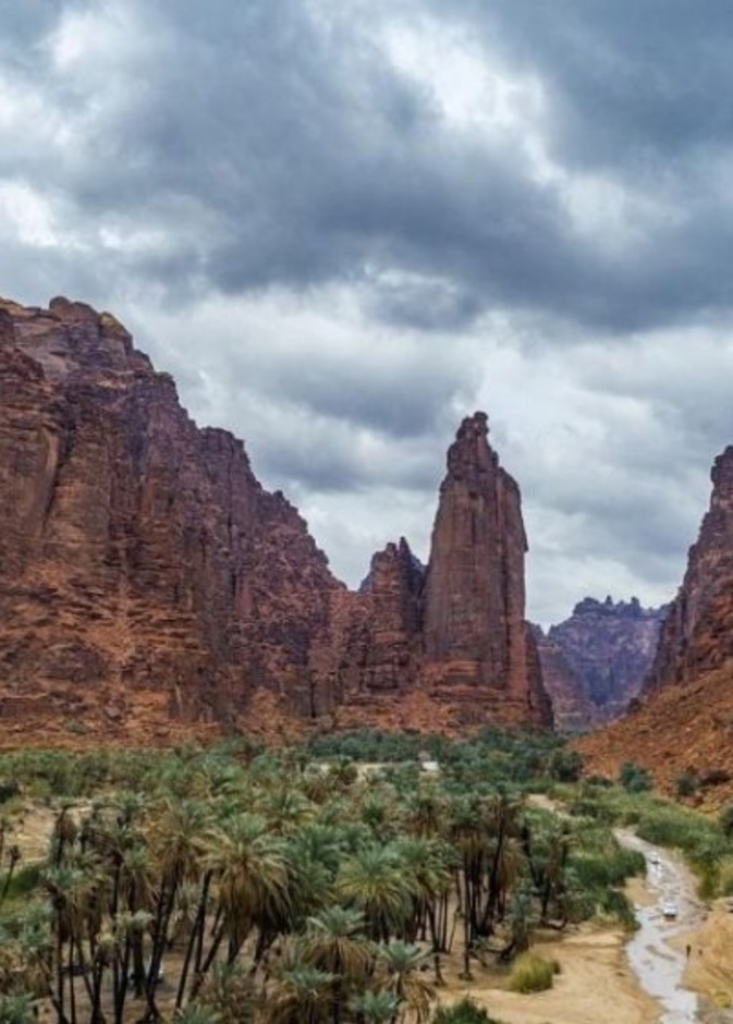طبيعة ساحرة في الديسة - المصدر وكالة الأنباء السعودية