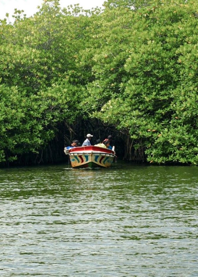  السياحة في سريلانكا نهر مادو جانجا Madu Ganga River