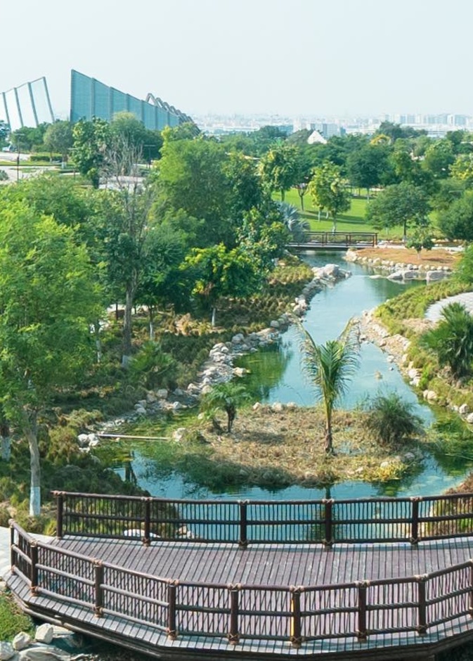  إقبال كبير على دبي سفاري بارك وخيارات عدة تنتظر الزوار