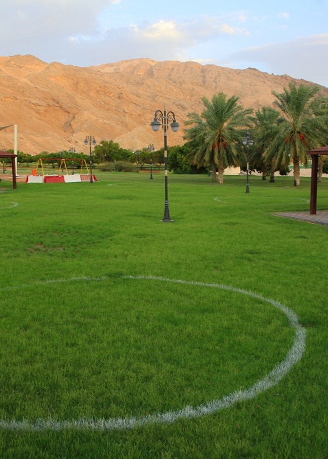 من واحة العين