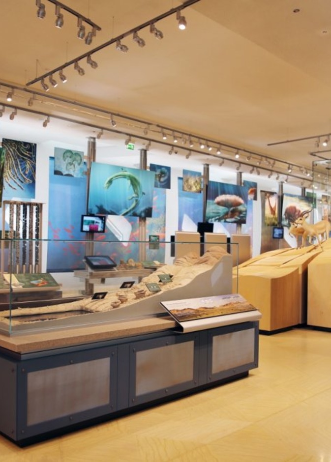 مركز الشيخ زايد لعلوم الصحراء وجهة سياحية وتعليمية مميزة - المصدر وكالة أنباء الإمارات