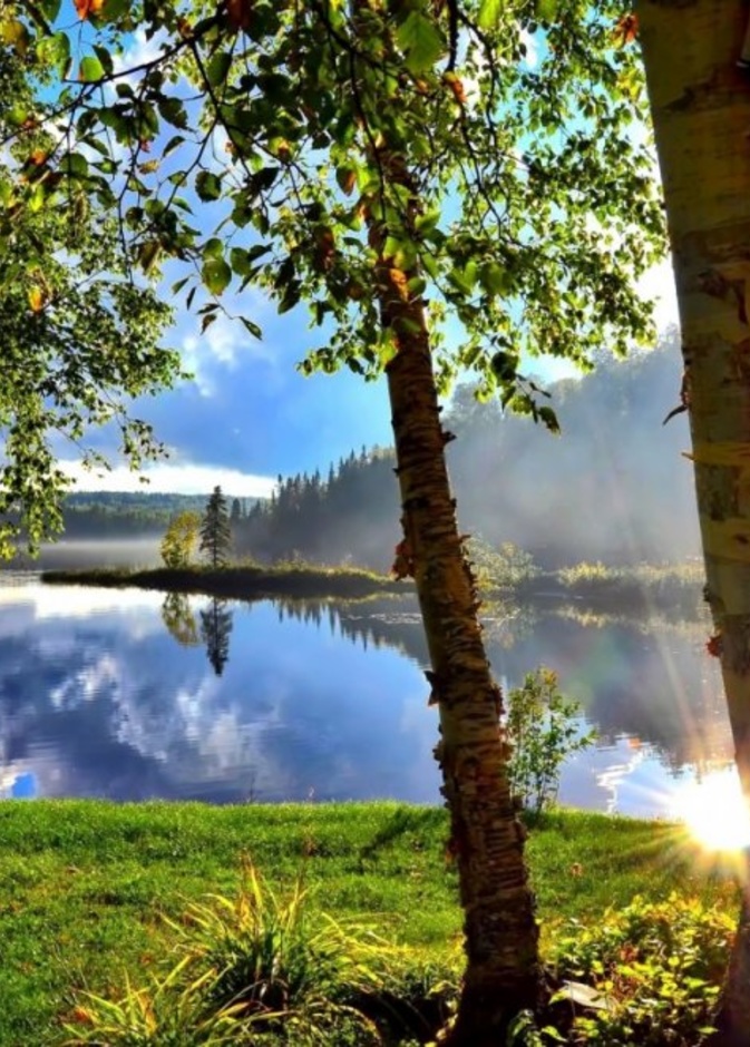 روعة مشاهد الطبيعة في كندا بواسطة pxhere