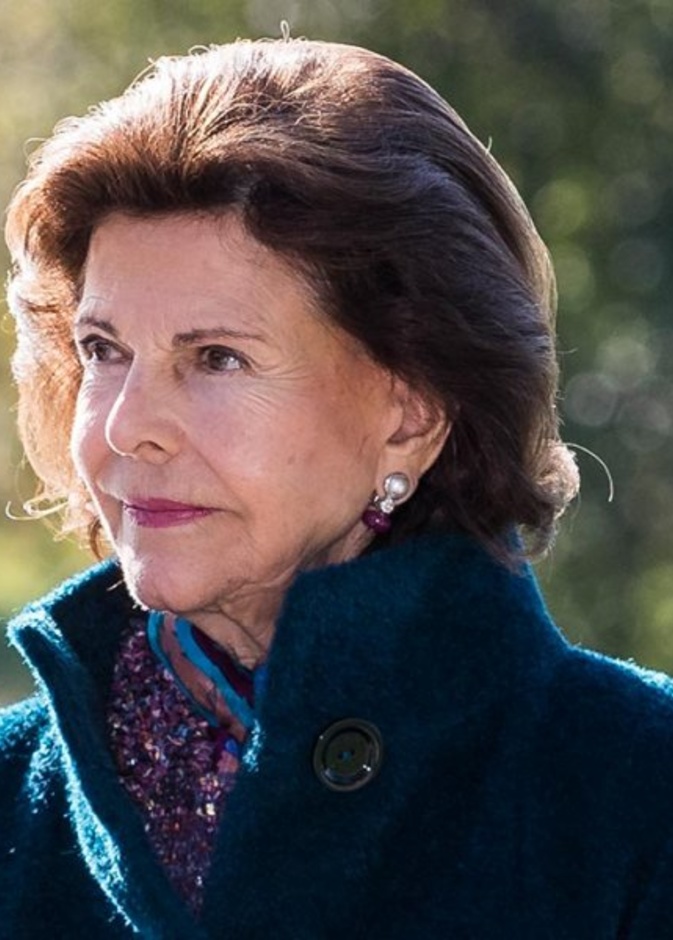 ملكة السويد سقطت في منزلها بقلعة دروتنينغهولم