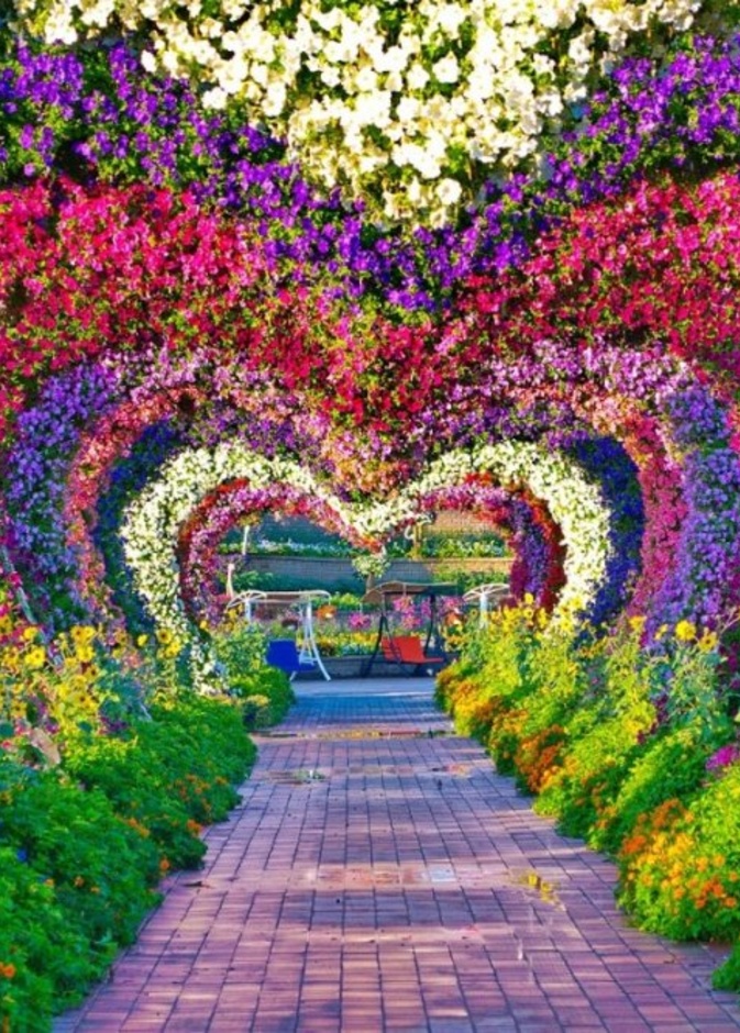  من دبي ميراكل جاردن