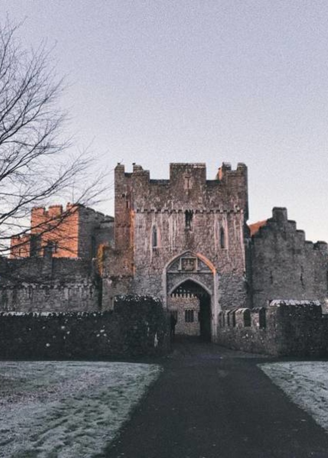 لماذا يختار أفراد العائلات الملكية الدراسة في ويلز؟ 