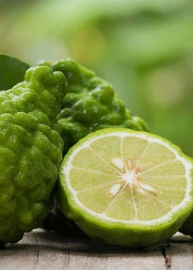 فوائد البرغموت الصحية